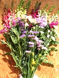 南房総の花ギフト 南房総の花ギフト